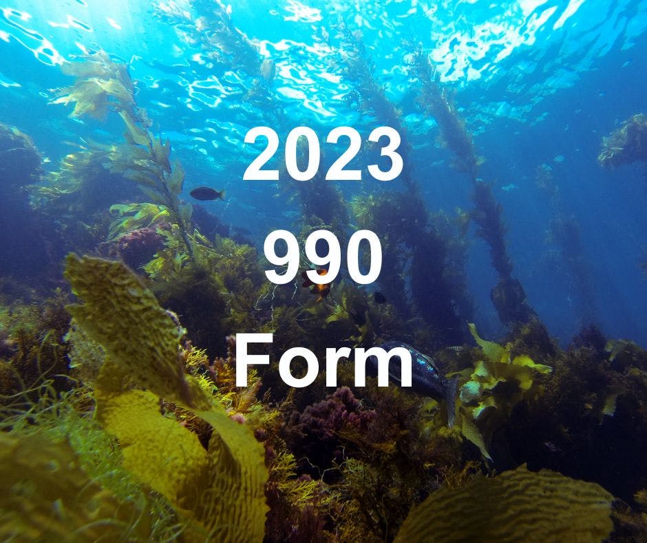 2023 990 Form