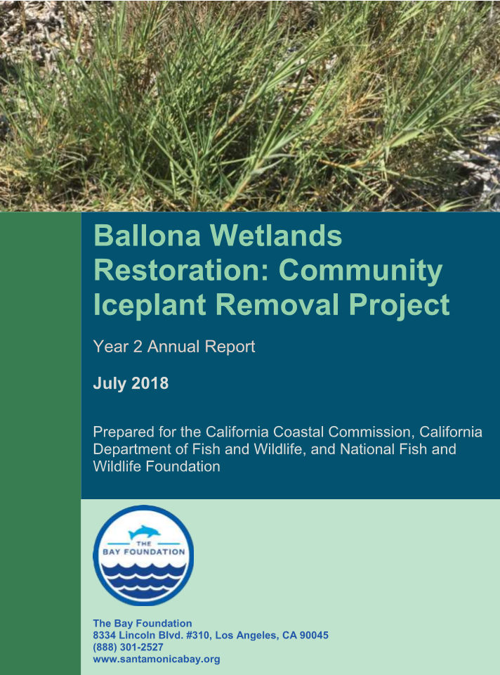Ballona Wetlands Restoration Community Iceplant Removal Project, Year 2 Annual Report