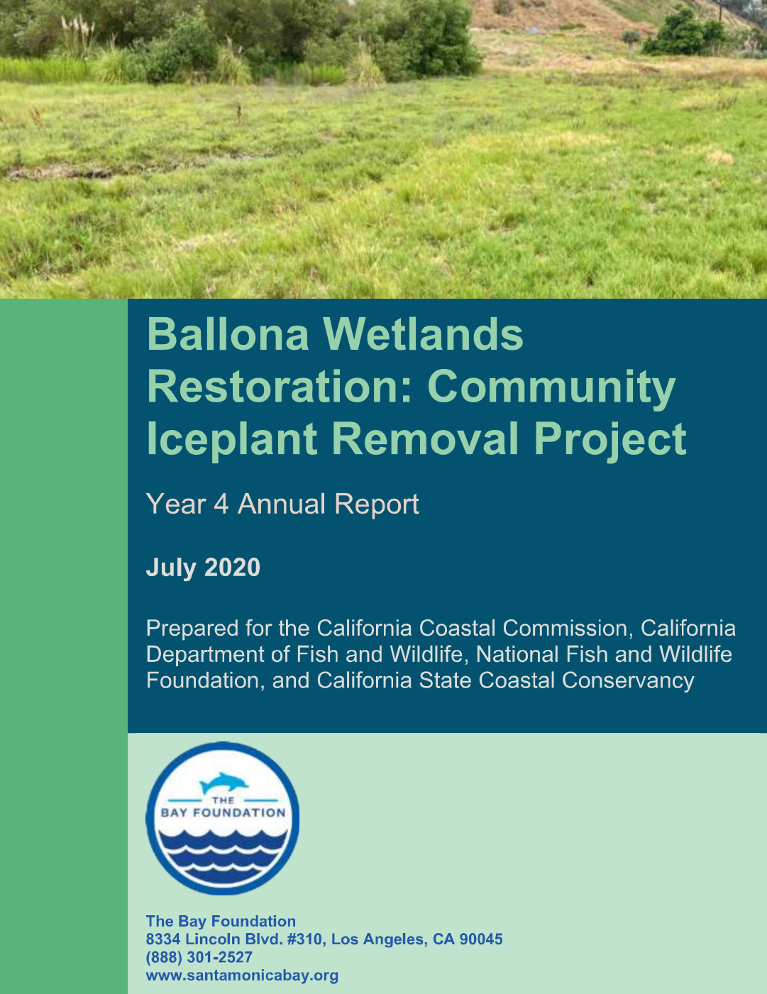 Ballona Wetlands Restoration Community Iceplant Removal Project Year 4