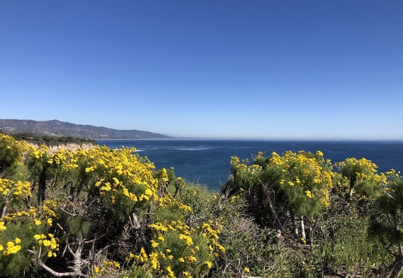 Landscape of santa monica bay