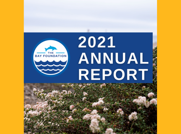 2021 annual report cover page displaying a restoration area