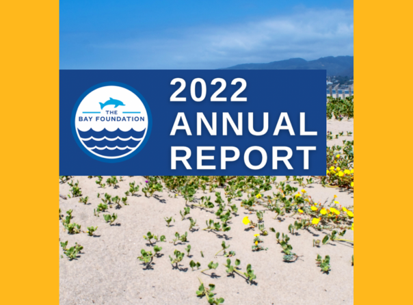 2022 annual report cover page displaying a living shoreline