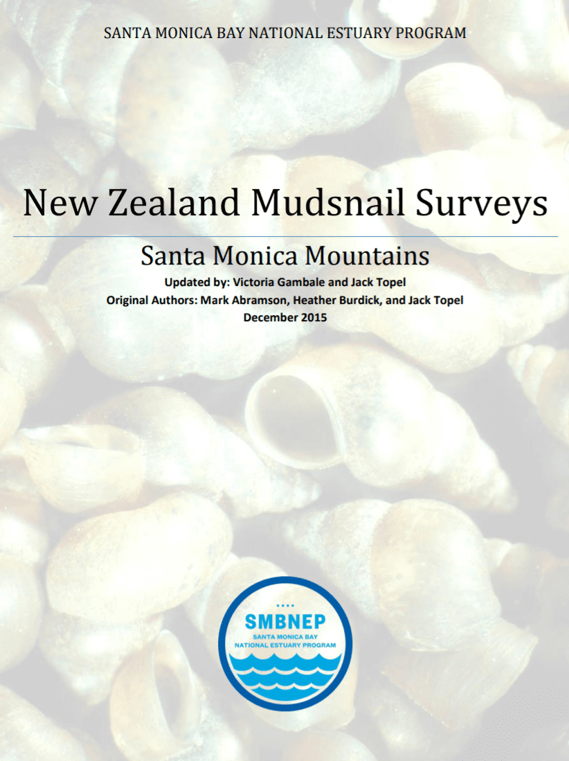 mudsnail-surveys