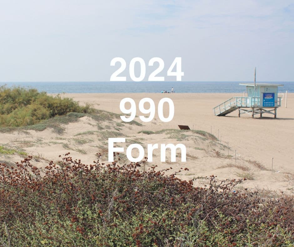 2024 990 Form